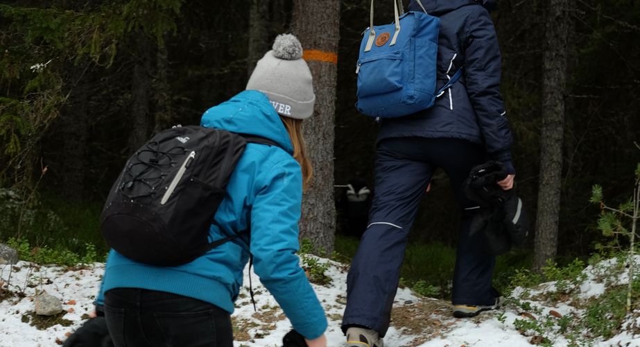 Wandelen Zweden najaar reis